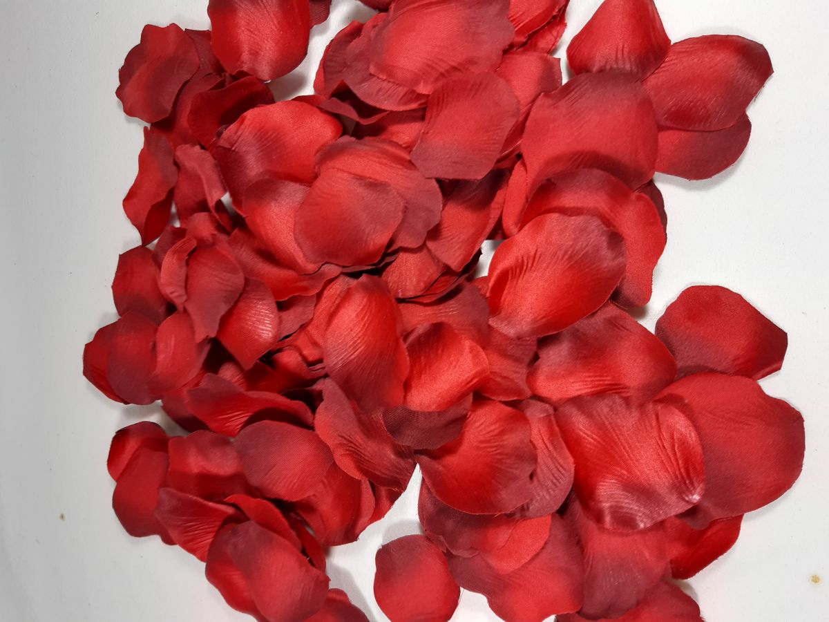 Rosenblätter Stoff Cloris rot geflammt